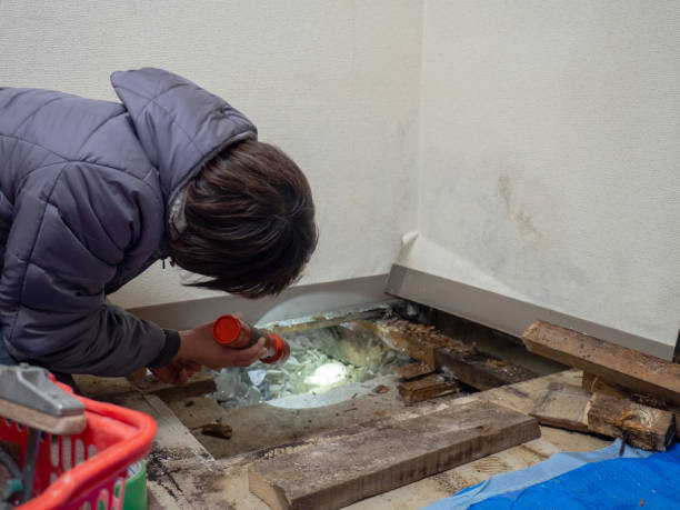 Best Crawl Space Mold Remediation  in Rising Sun, MD