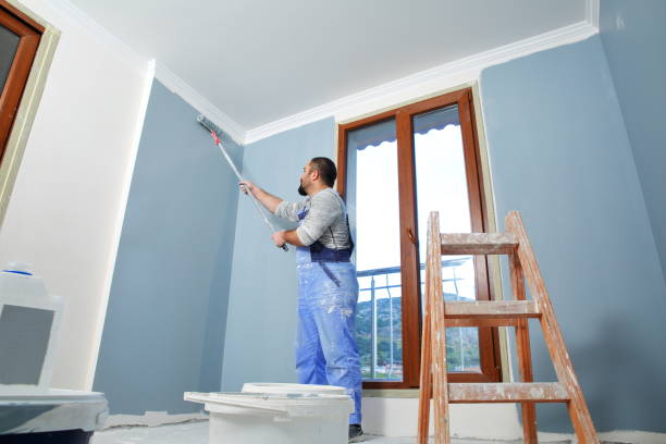 Best Real Estate Mold Inspection  in Rising Sun, MD