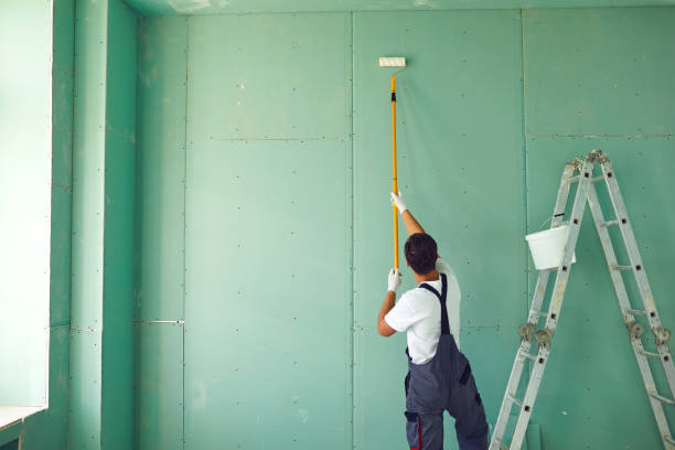 Best Biohazard Mold Removal  in Rising Sun, MD