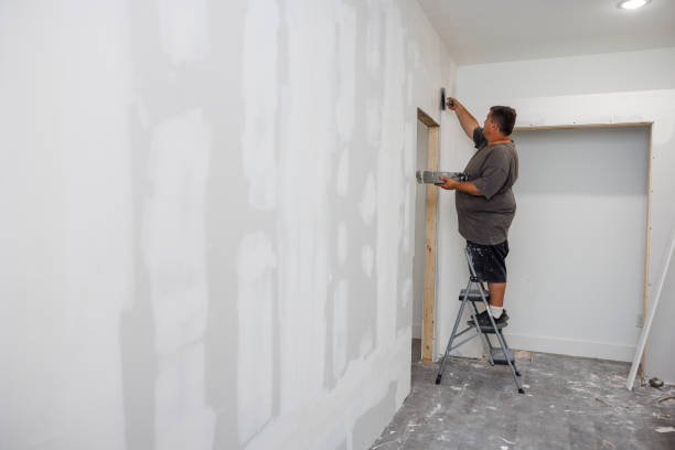 Best Airborne Mold Testing  in Rising Sun, MD