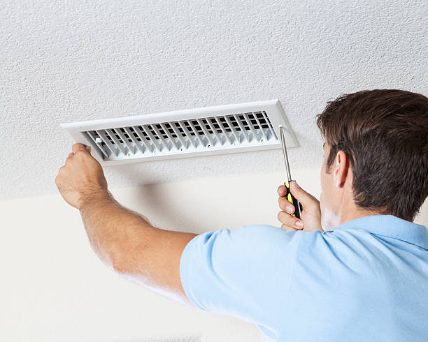 Best Dehumidification Services  in Rising Sun, MD